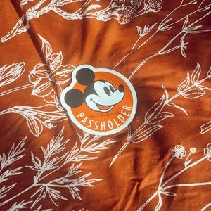 BOGO vintage disney WDW pass holder magnet